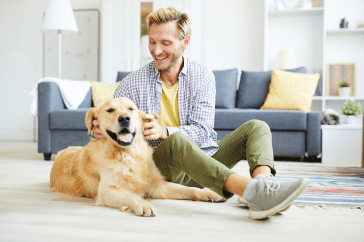 Choosing A Senior Dog