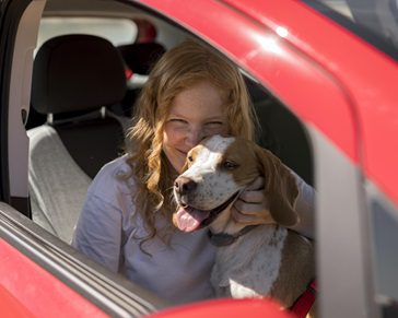 Getting the puppy home